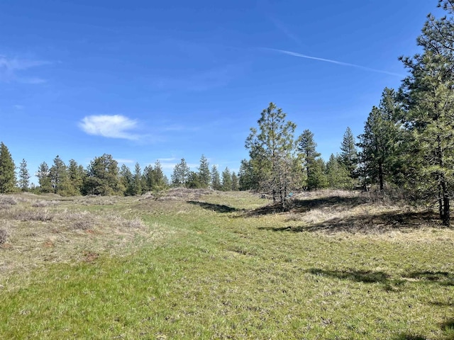 249015 W Kitt Rd, Reardan, WA 99029 - photo 7