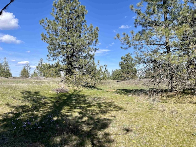 249015 W Kitt Rd, Reardan, WA 99029 - photo 8