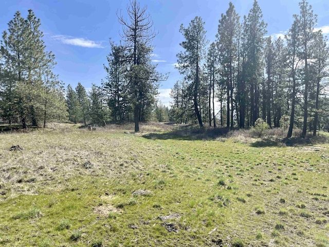 249015 W Kitt Rd, Reardan, WA 99029 - photo 9