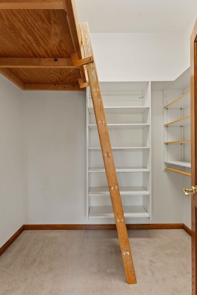 3810 E Evan Ln, Colbert, WA 99005 - spacious closet featuring carpet