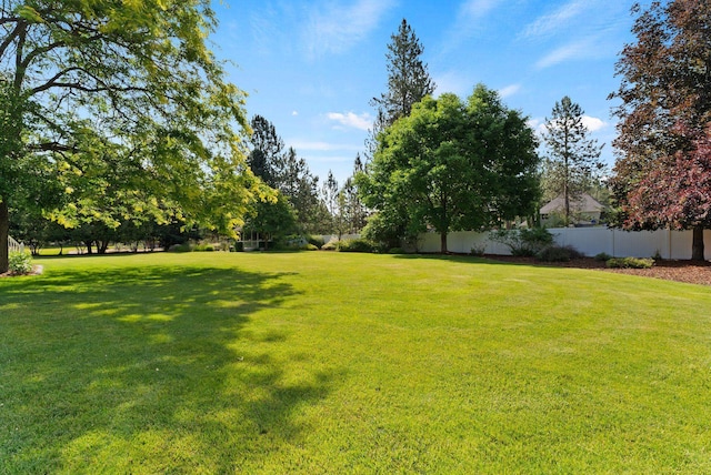 3810 E Evan Ln, Colbert, WA 99005 - view of yard
