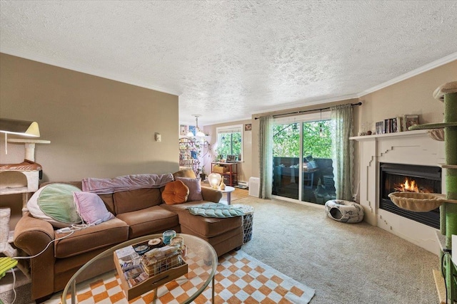 837 S Cowley St Unit 301, Spokane, WA 99202 - photo 5
