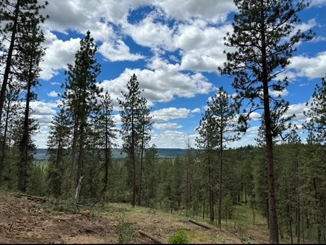 NKA Weaver Way Lot 4Of Lot 5, Deer Park, WA 99006