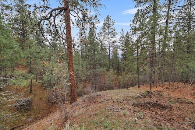 NKA Weaver Way Lot 4Of Lot 5, Deer Park, WA 99006