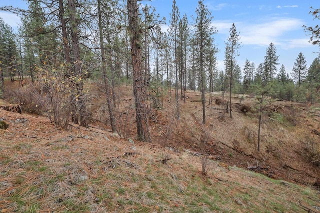 NKA Weaver Way Lot 4Of Lot 5, Deer Park, WA 99006