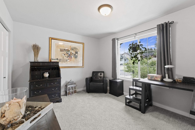 2820 S Sonora Dr, Spokane Valley, WA 99037 - photo 21