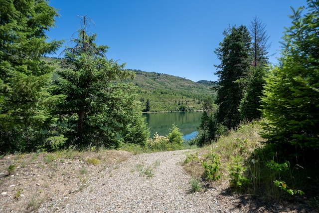 845 E Joyner Dr, Cusick, WA 99119 - photo 35