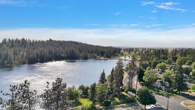 403 N Jefferson St, Medical Lake, WA 99022 - photo 39