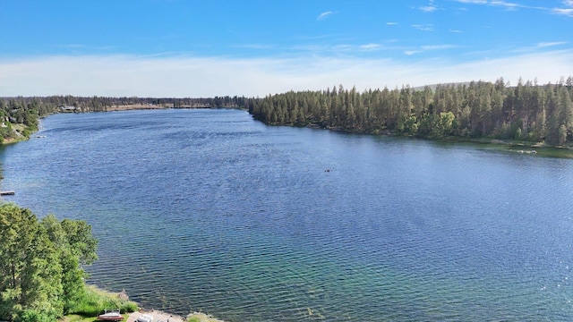 403 N Jefferson St, Medical Lake, WA 99022 - photo 40