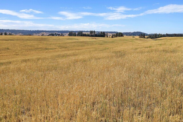 8054 E Mt Spokane Park Dr, Spokane, WA 99021 - photo 11