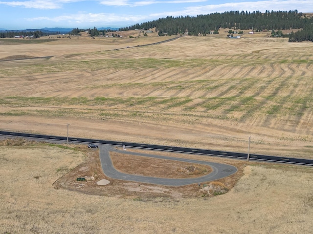 8054 E Mt Spokane Park Dr, Spokane, WA 99021 - photo 15