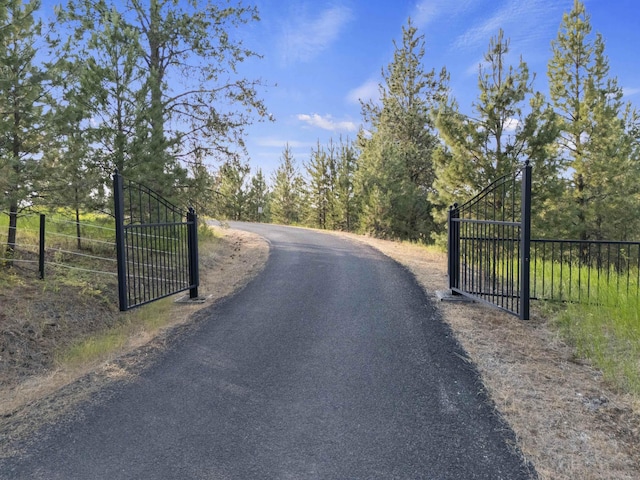 10718 S Mica Vista Ln, Mica, WA 99023 - photo 2