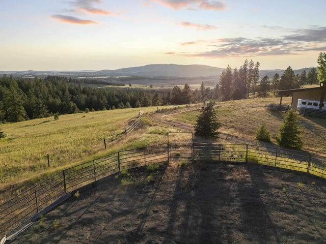 10718 S Mica Vista Ln, Mica, WA 99023 - photo 4