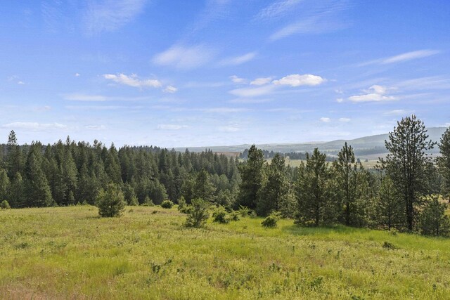 10718 S Mica Vista Ln, Mica, WA 99023 - photo 46