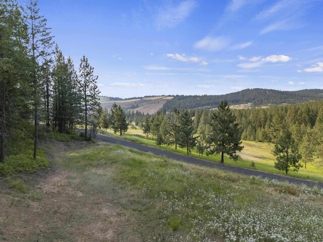 10718 S Mica Vista Ln, Mica, WA 99023 - photo 47