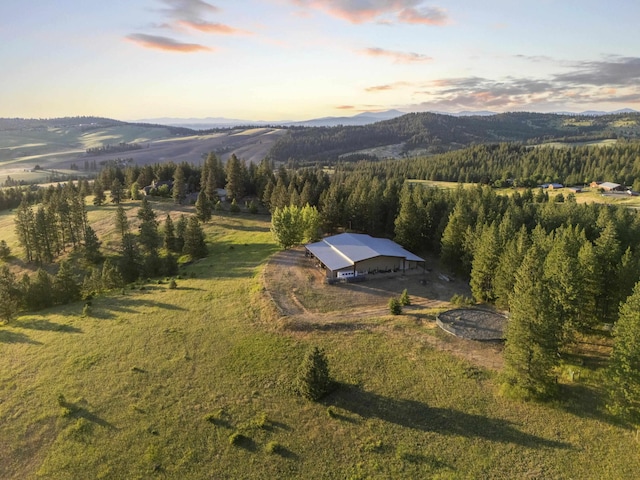 10718 S Mica Vista Ln, Mica, WA 99023 - photo 49