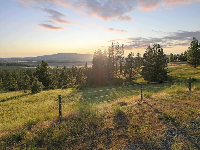 10718 S Mica Vista Ln, Mica, WA 99023 - photo 50