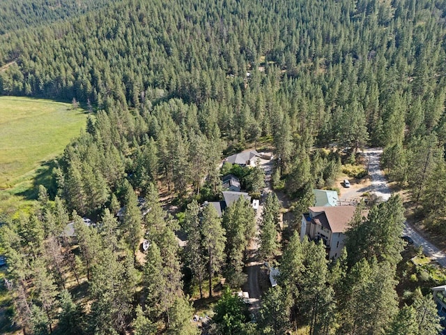 2415 S Terrace Creek Ln, Liberty Lake, WA 99019 - photo 11