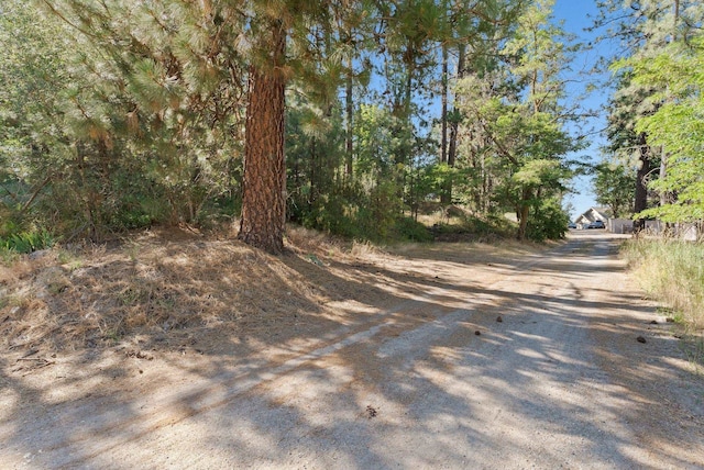 2415 S Terrace Creek Ln, Liberty Lake, WA 99019 - photo 7