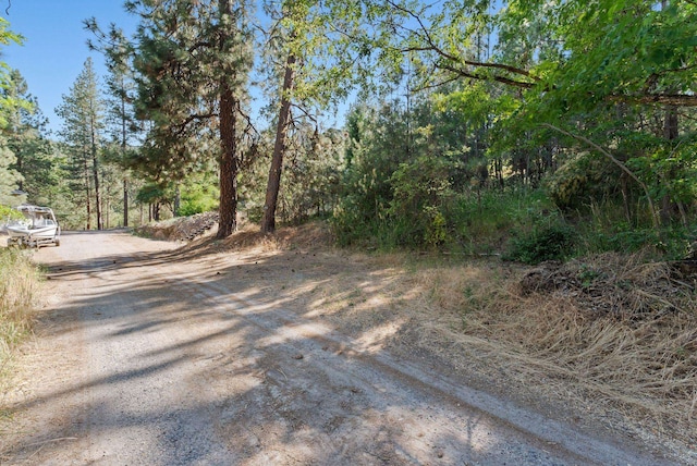 2415 S Terrace Creek Ln, Liberty Lake, WA 99019 - photo 8