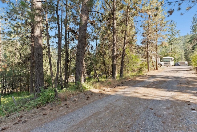 2415 S Terrace Creek Ln, Liberty Lake, WA 99019 - photo 9