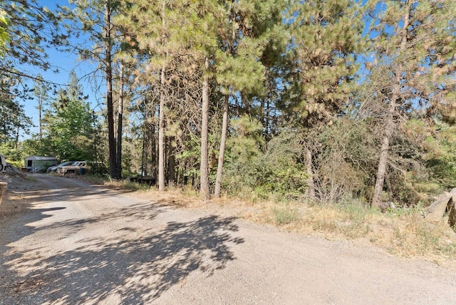 2415 S Terrace Creek Ln, Liberty Lake, WA 99019 - photo 10