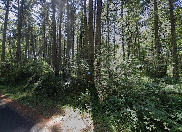 4813 E 296th St, Graham, WA 98338 - photo 2