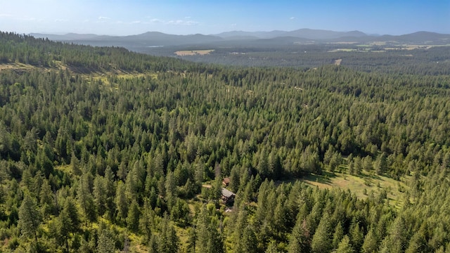 34711 N Waldrons Ln Unit 49311.9012, Chattaroy, WA 99003