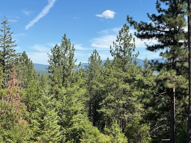 34711 N Waldrons Ln Unit 49311.9012, Chattaroy, WA 99003