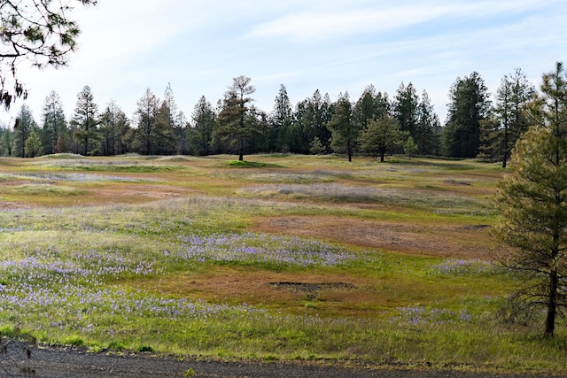 000 Bootstrap Ln, Cheney, WA 99004