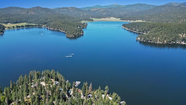 22723 E Park Beach Rd, Newman Lake, WA 99025 - photo 43