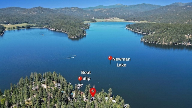 22723 E Park Beach Rd, Newman Lake, WA 99025 - photo 6