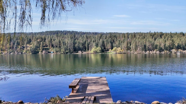 318 E Shore Rd, Nine Mile Falls, WA 99026 - photo 38