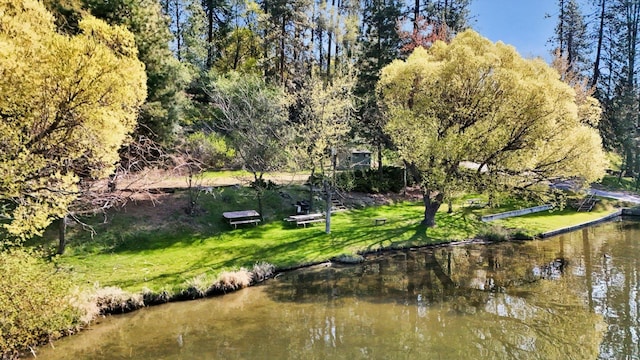 318 E Shore Rd, Nine Mile Falls, WA 99026 - photo 40