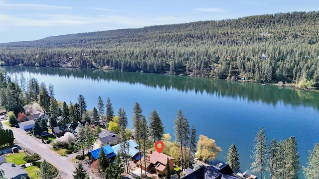 318 E Shore Rd, Nine Mile Falls, WA 99026 - photo 43
