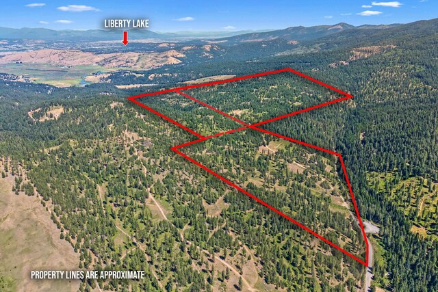 NKA E Belmont Rd, Mica, WA 99023 - photo 1