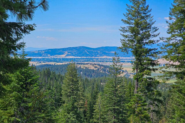 NKA E Belmont Rd, Mica, WA 99023 - photo 2