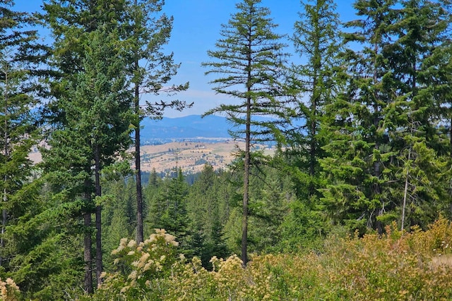 NKA E Belmont Rd, Mica, WA 99023 - photo 11