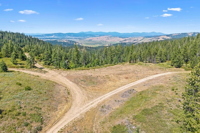 NKA E Belmont Rd, Mica, WA 99023 - photo 12