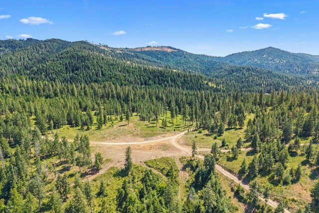 NKA E Belmont Rd, Mica, WA 99023 - photo 13