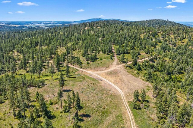 NKA E Belmont Rd, Mica, WA 99023 - photo 14