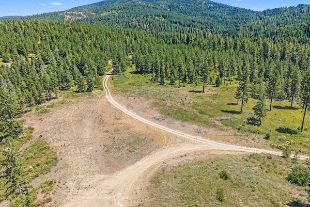 NKA E Belmont Rd, Mica, WA 99023 - photo 15