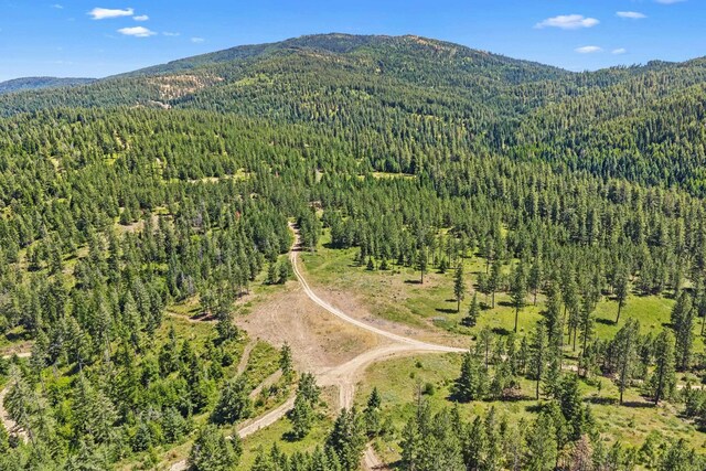NKA E Belmont Rd, Mica, WA 99023 - photo 16