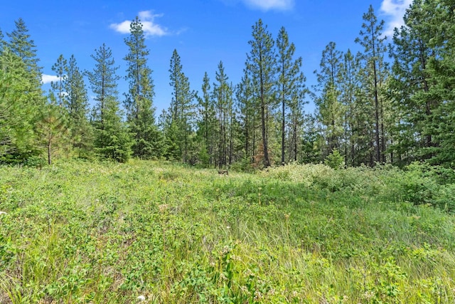 NKA E Belmont Rd, Mica, WA 99023 - photo 17
