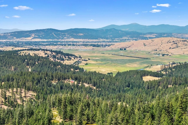 NKA E Belmont Rd, Mica, WA 99023 - photo 18