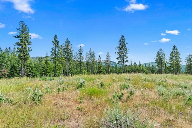 NKA E Belmont Rd, Mica, WA 99023 - photo 19