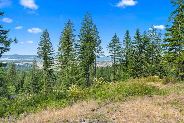 NKA E Belmont Rd, Mica, WA 99023 - photo 20