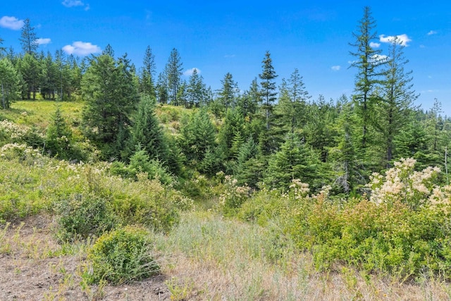 NKA E Belmont Rd, Mica, WA 99023 - photo 21