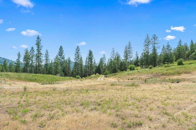 NKA E Belmont Rd, Mica, WA 99023 - photo 22