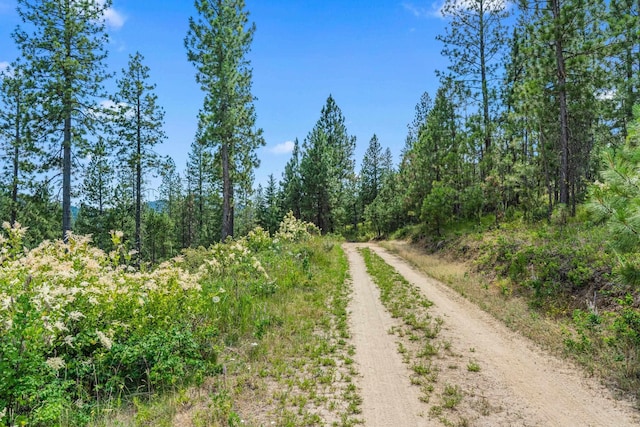 NKA E Belmont Rd, Mica, WA 99023 - photo 23